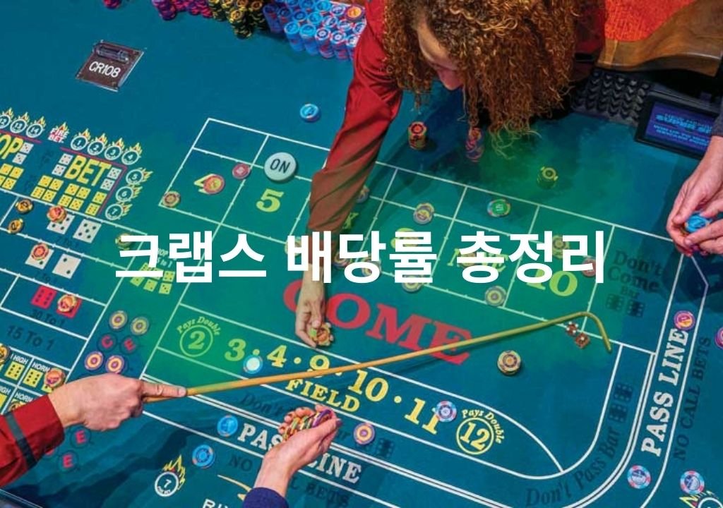 크랩스 배당률과 베팅 구조가 보이는 크랩스 테이블 레이아웃