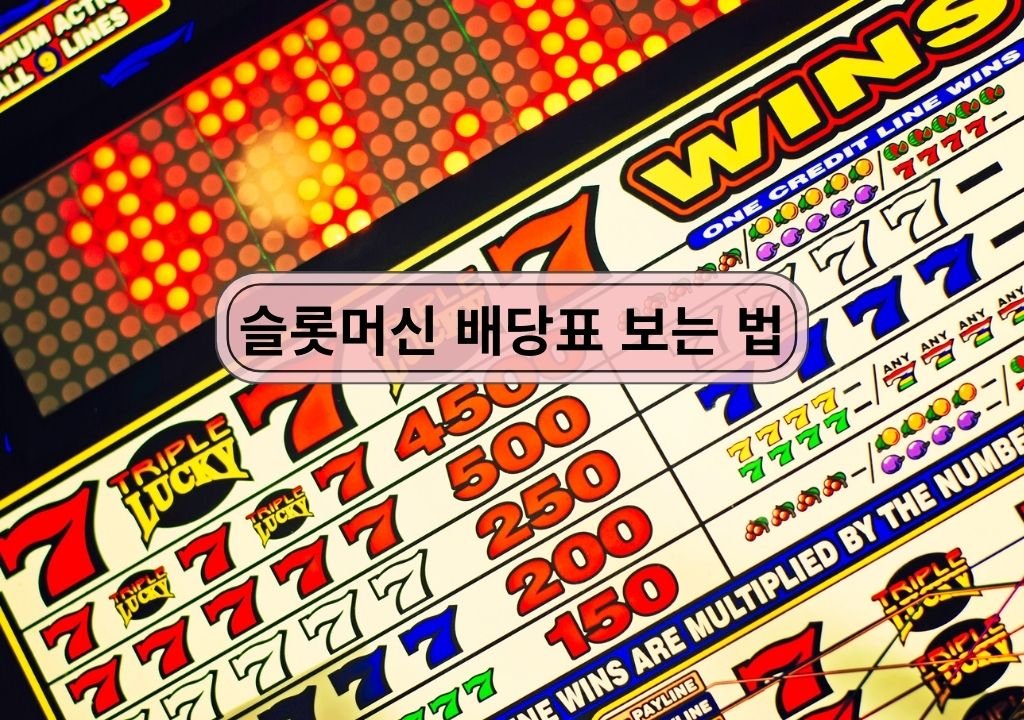 슬롯머신 배당표 예시 화면 – 슬롯 페이테이블과 심볼 배당 구조 설명